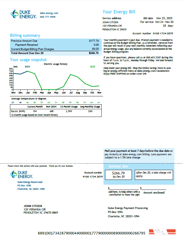 USA Duke Energy utility bill template in Word and PDF formats, version 6